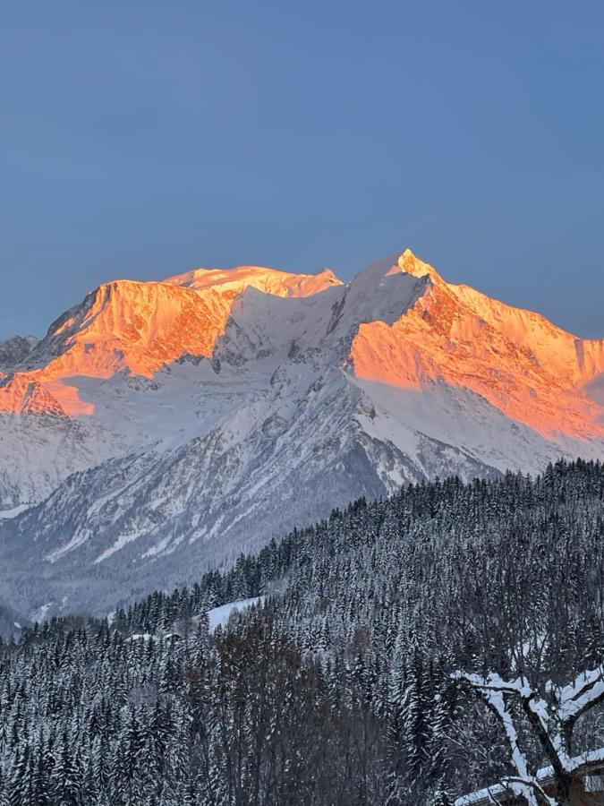 Vue Splendide Mont Blanc Apartman Saint-Gervais-les-Bains Kültér fotó